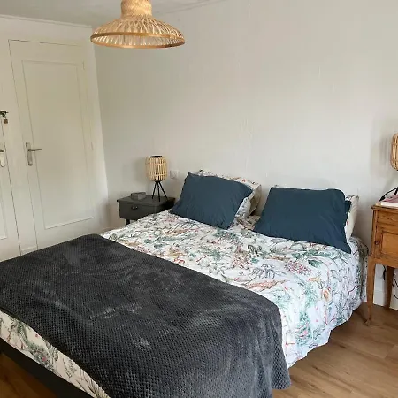 Vakantiehuis Maison 3 Ile D'oleron Grand-Village-Plage
