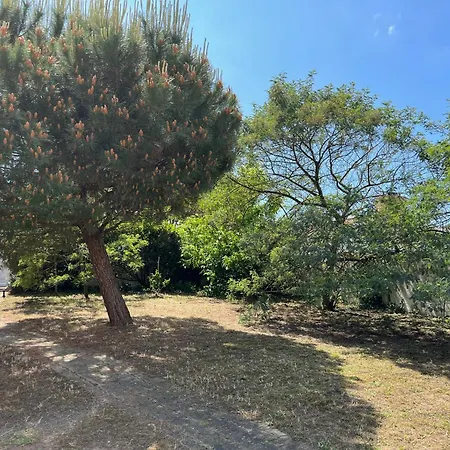 Maison 3 Ile D'oleron Grand-Village-Plage